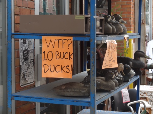 10 buck ducks
